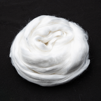 //ikrorwxhknkklp5p-static.micyjz.com/cloud/lmBprKliljSRollklnpkjo/10-Viscose-Top.png