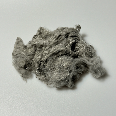 news_main_image_8cc9072f-b1ac-490e-befe-e3ff288341705019411787126311107.png